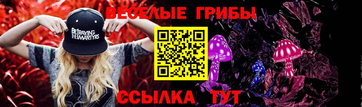 Псилоцибиновые грибы GOLDEN TEACHER  Вход с VPN  Коркино 